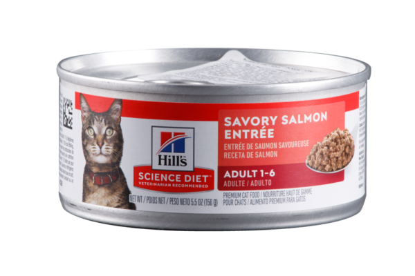 HILLS FELINO GATO ADULTO SALMON 5,5 OZ