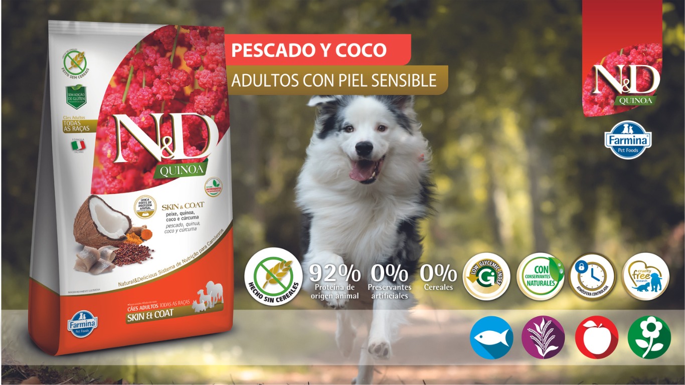 WhatsApp Image 2023 07 14 at 4.56.28 PM