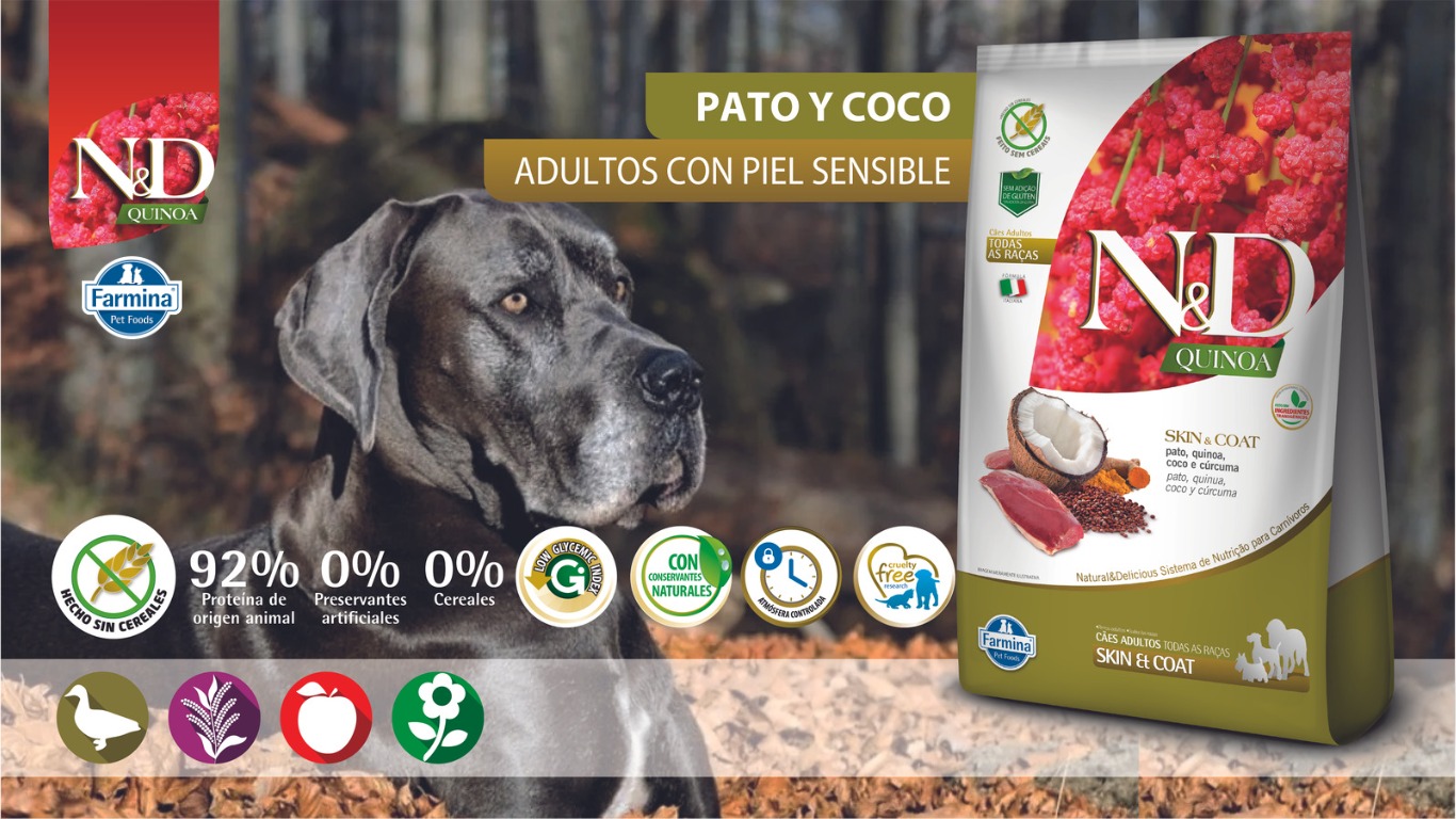 WhatsApp Image 2023 07 14 at 4.51.27 PM