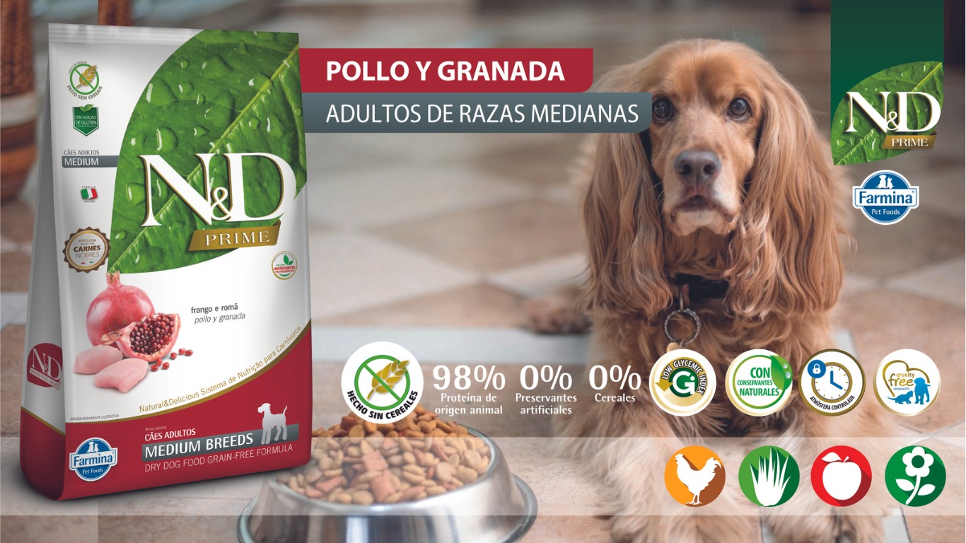 WhatsApp Image 2023 07 14 at 4.17.37 PM