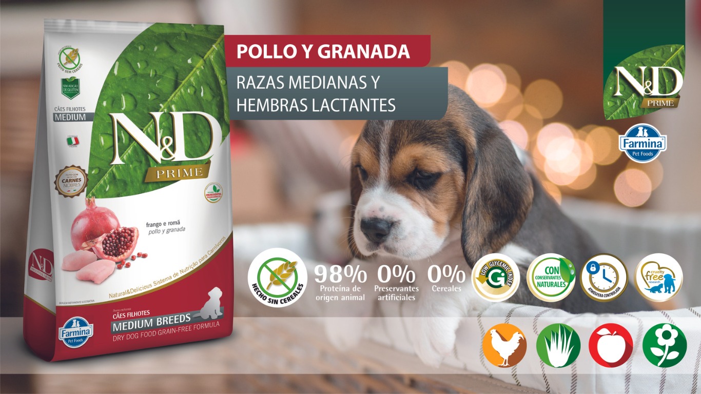 ac908fcc 1764 4f53 beb7 8f8a0452ed84