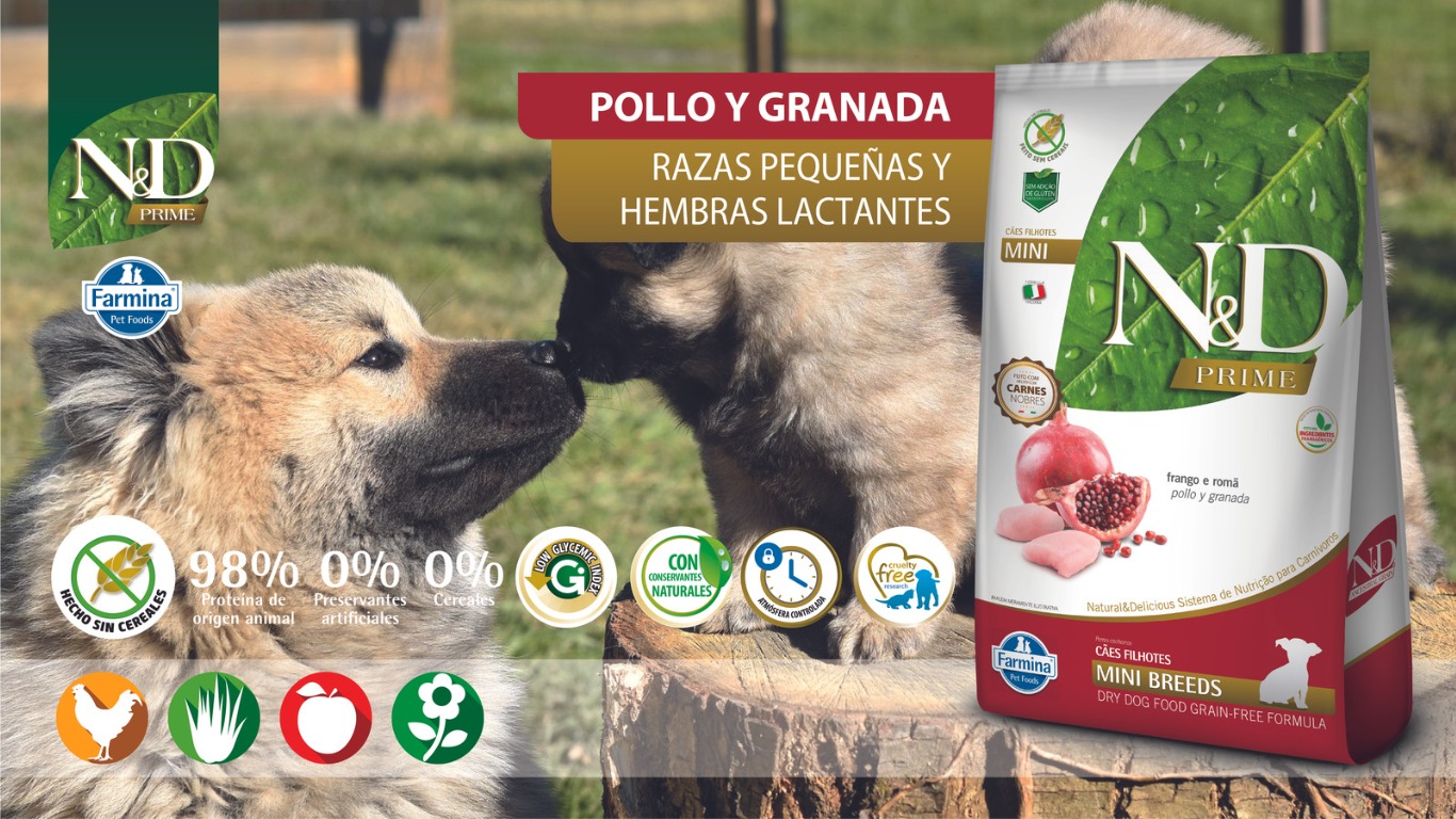 WhatsApp Image 2023 07 14 at 2.04.10 PM