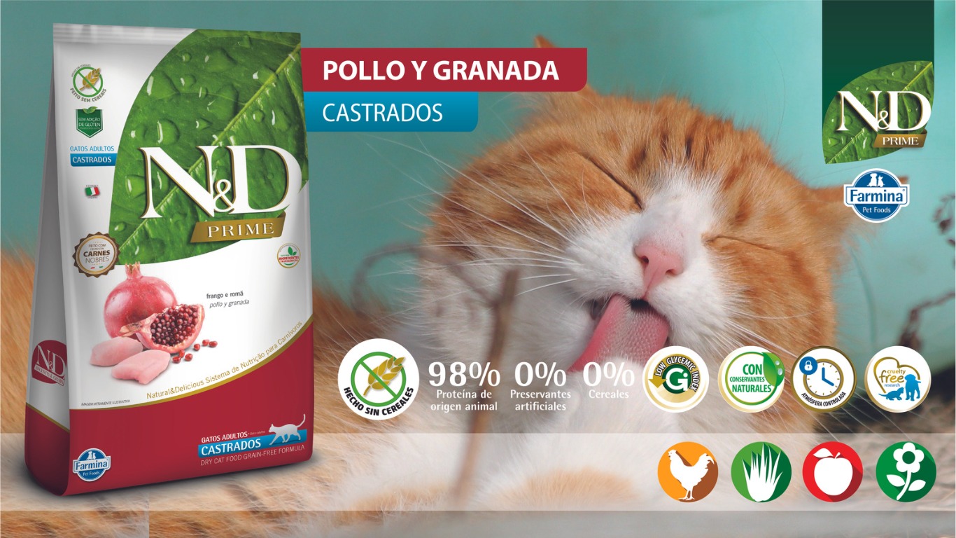 WhatsApp Image 2023 07 14 at 1.49.09 PM 1