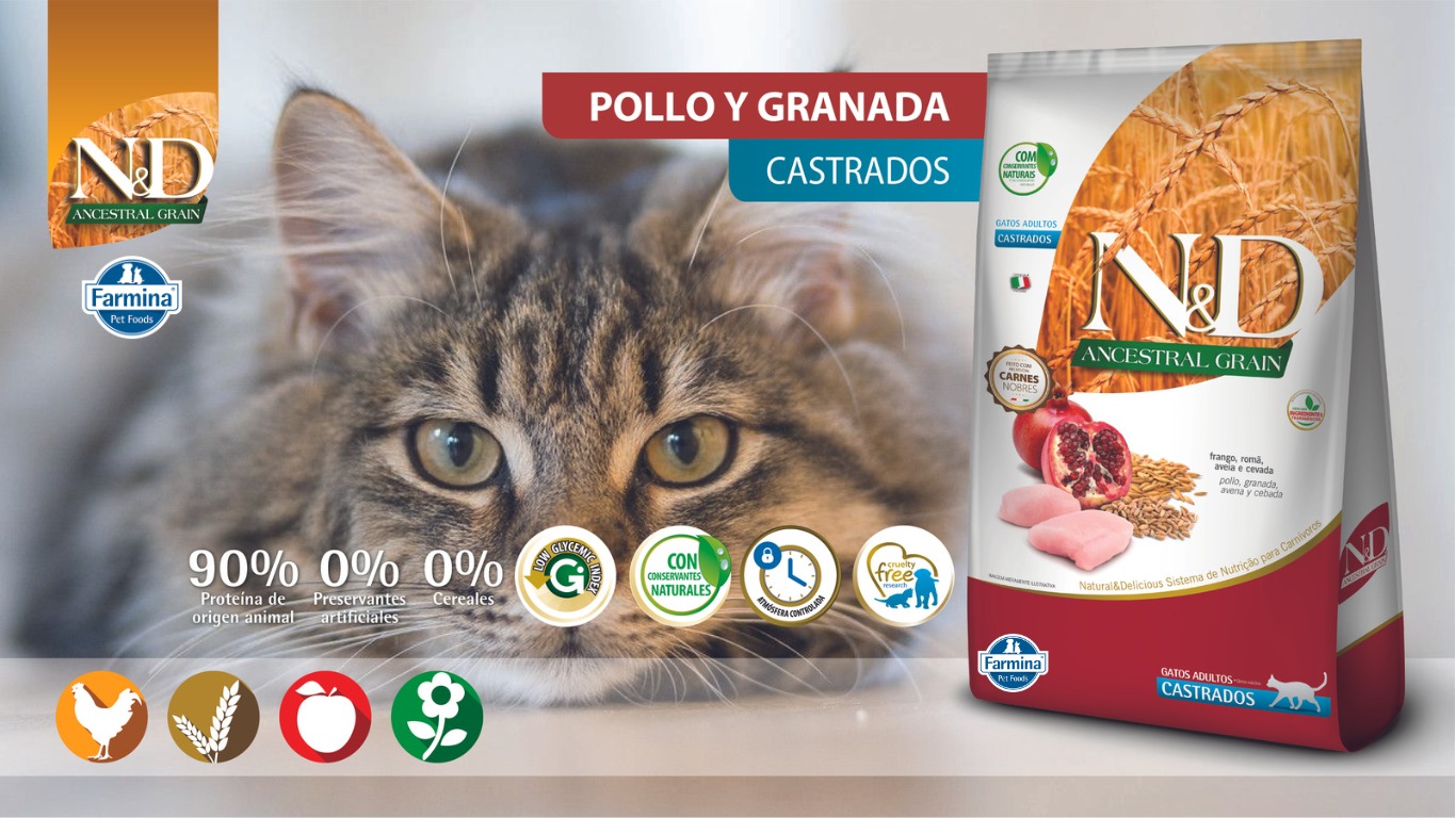 WhatsApp Image 2023 07 14 at 1.15.50 PM