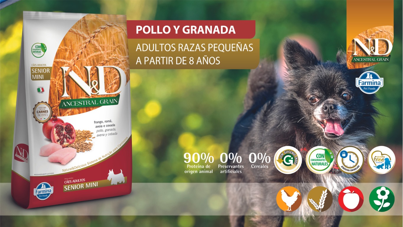 N&D ANCESTRAL PERRO SENIOR MINI POLLO 2.5KG 1 WhatsApp Image 2023 07 14 at 12.50.01 PM