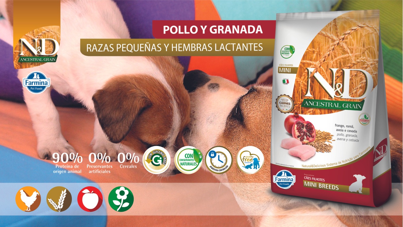 WhatsApp Image 2023 07 14 at 12.31.59 PM