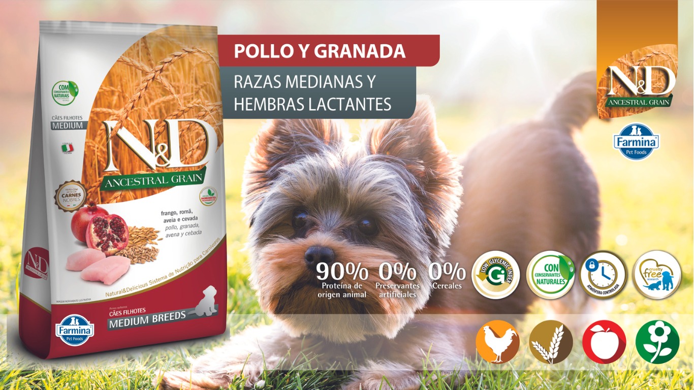 WhatsApp Image 2023 07 14 at 12.23.25 PM