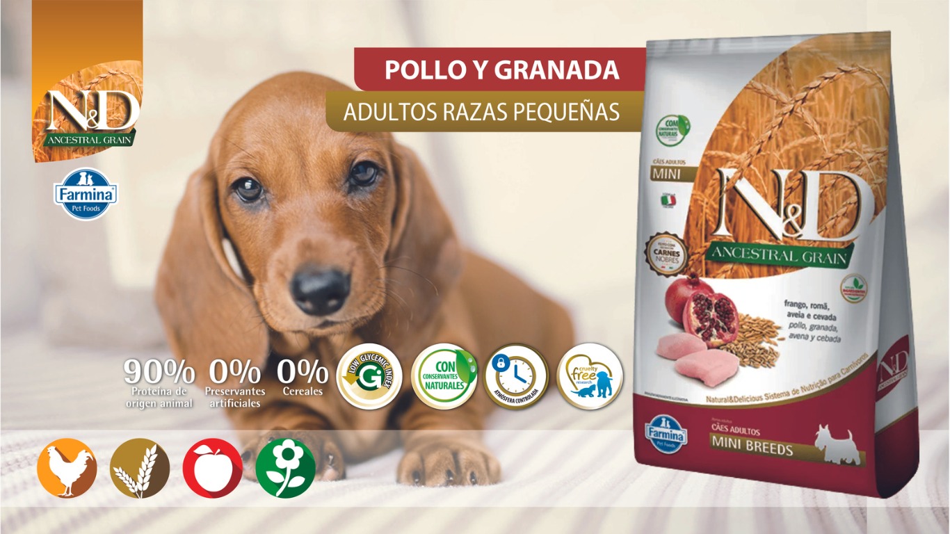 WhatsApp Image 2023 07 14 at 12.19.29 PM