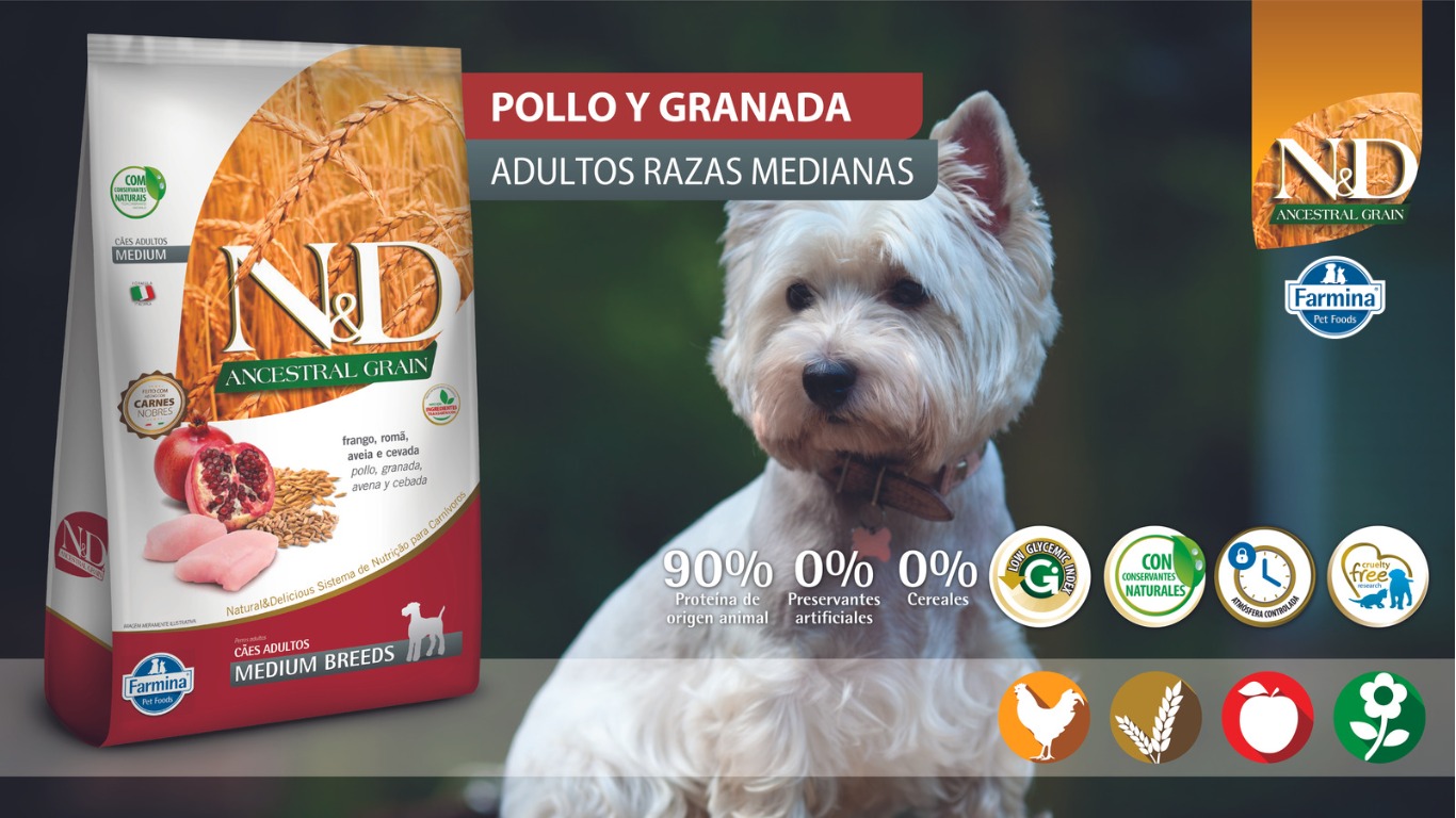 WhatsApp Image 2023 07 14 at 12.07.22 PM