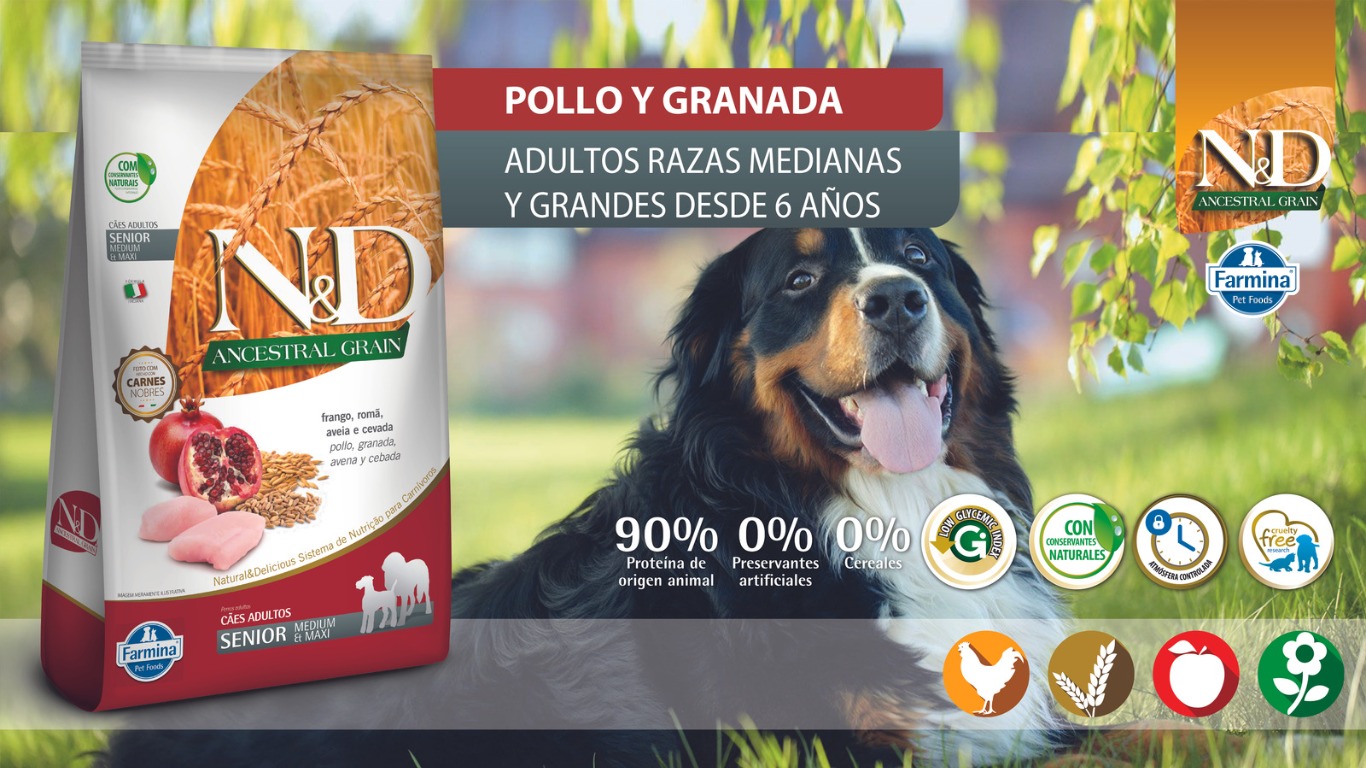 WhatsApp Image 2023 07 14 at 12.03.03 PM