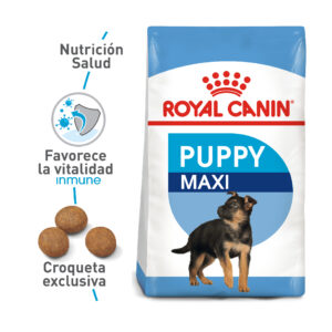 ROYAL CANIN MAXI CACHORRO
