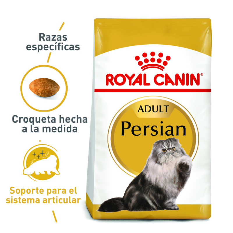 ROYAL CANIN GATO PERSIAN ADULTO
