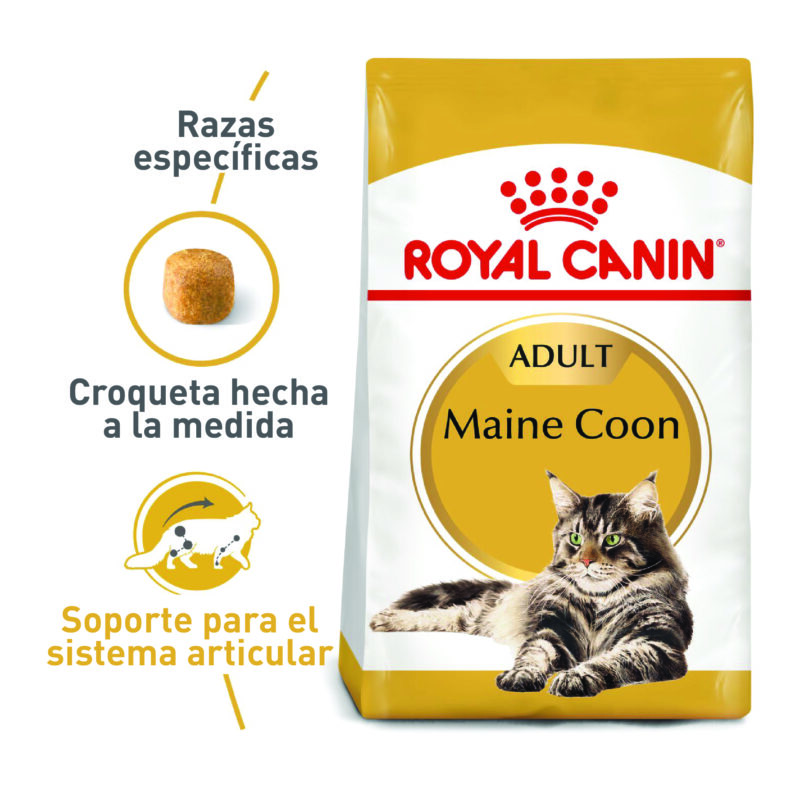 ROYAL CANIN GATO MAINE COON 2 KG