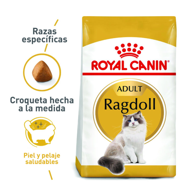 ROYAL CANIN GATO RAGDOLL 2KG