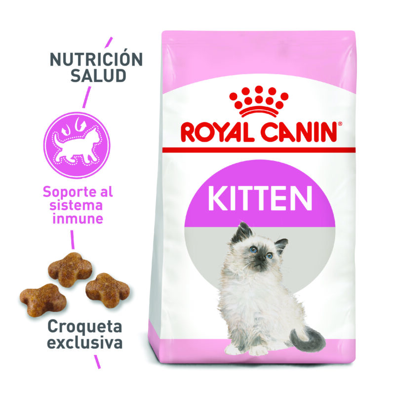 ROYAL CANIN GATO KITTEN