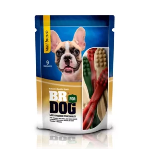 BR DOG SNACK MINI BRUSH POR 9 UNIDADES