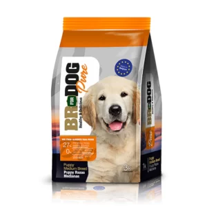 BR DOG PERRO CACHORRO RAZA MEDIANA