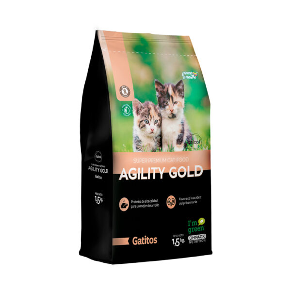 AGILITY GOLD GATITOS