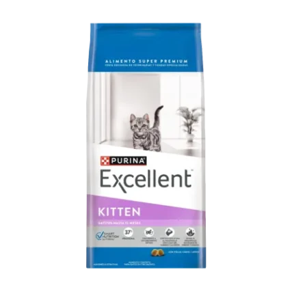 Excellent Kitten PET GOLD