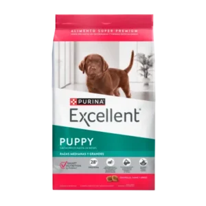 EXCELLENT PERRO CACHORRO RAZA MEDIANA Y GRANDE