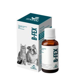 B-FEX SUSPENSION 60 ML