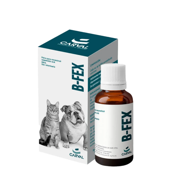 B-FEX SUSPENSION 60 ML