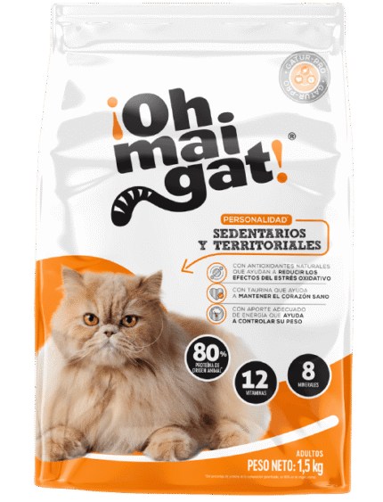 OH MAI GAT SEDENTARIOS