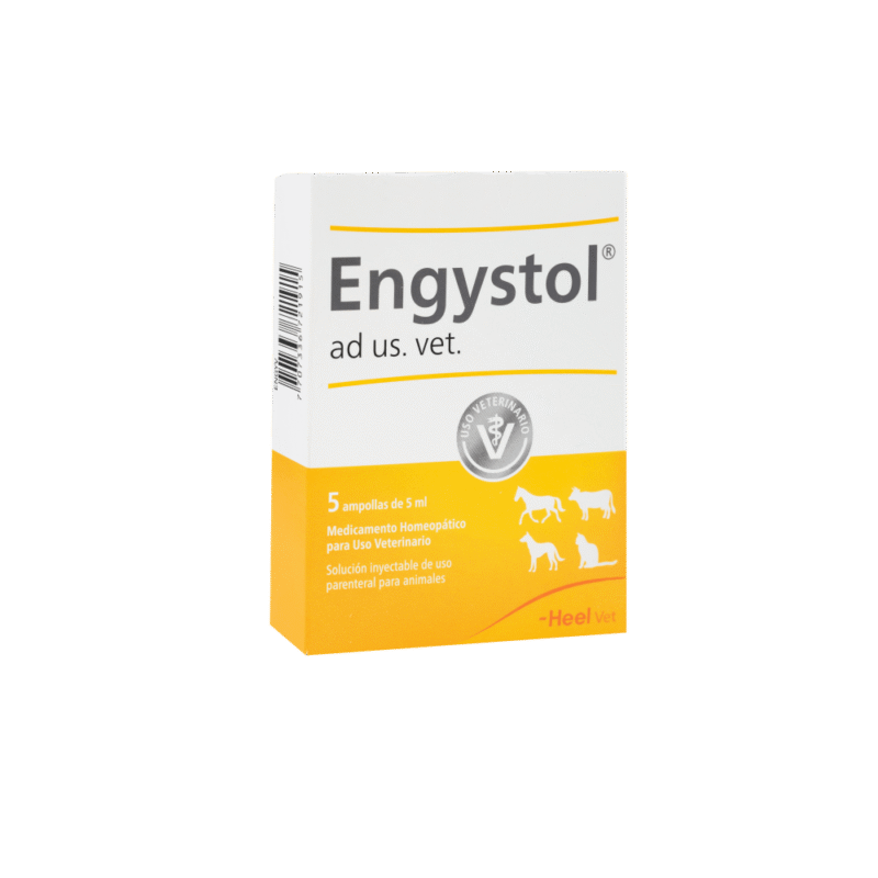 ENGYSTOL AMPOLLETA 1 UND