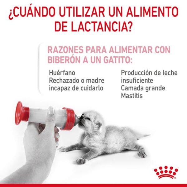 LACTOREEMPLAZADOR ROYAL CANIN BABYCAT - Imagen 3