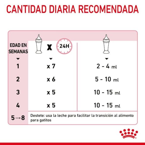 LACTOREEMPLAZADOR ROYAL CANIN BABYCAT - Imagen 4