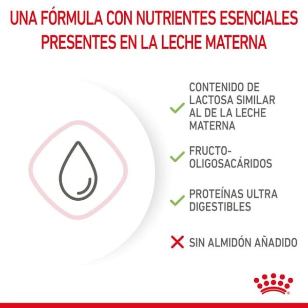 LACTOREEMPLAZADOR ROYAL CANIN BABYCAT - Imagen 2