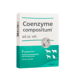 COENZYME AMPOLLETA 1 UND
