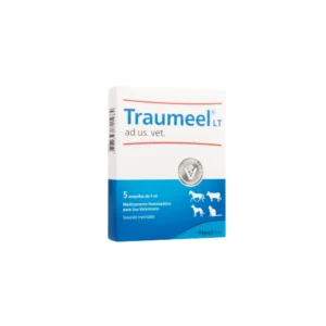 TRAUMEEL