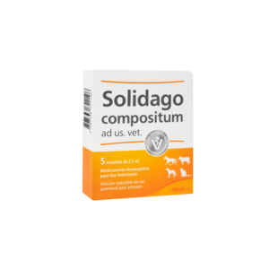 SOLIDAGO AMPOLLETA 1 UND