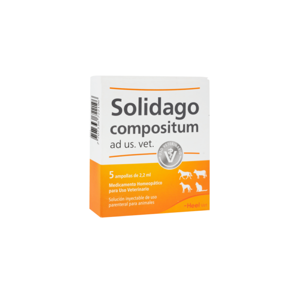 SOLIDAGO AMPOLLETA 1 UND