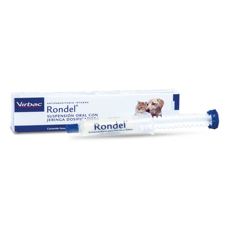 RONDEL