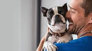 call center petgold veterinaria
