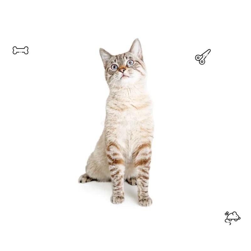 petgold