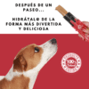 helado natural para perro sabor a res
