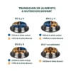 alimento para gato gastrointestinal bonnat vet 2 kg