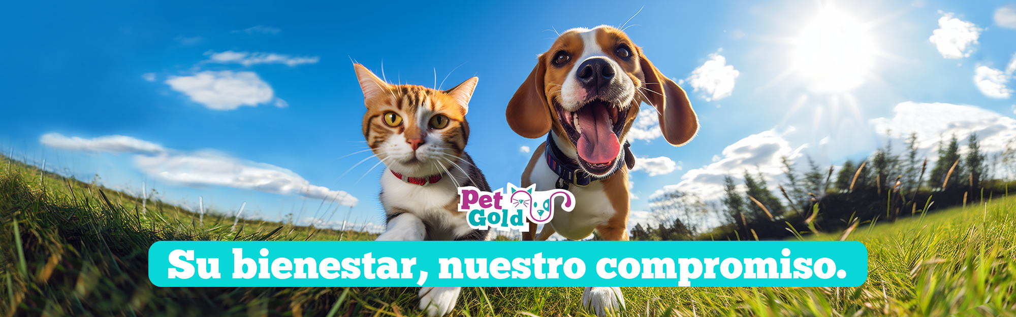 Banners home Mesa de trabajo 1