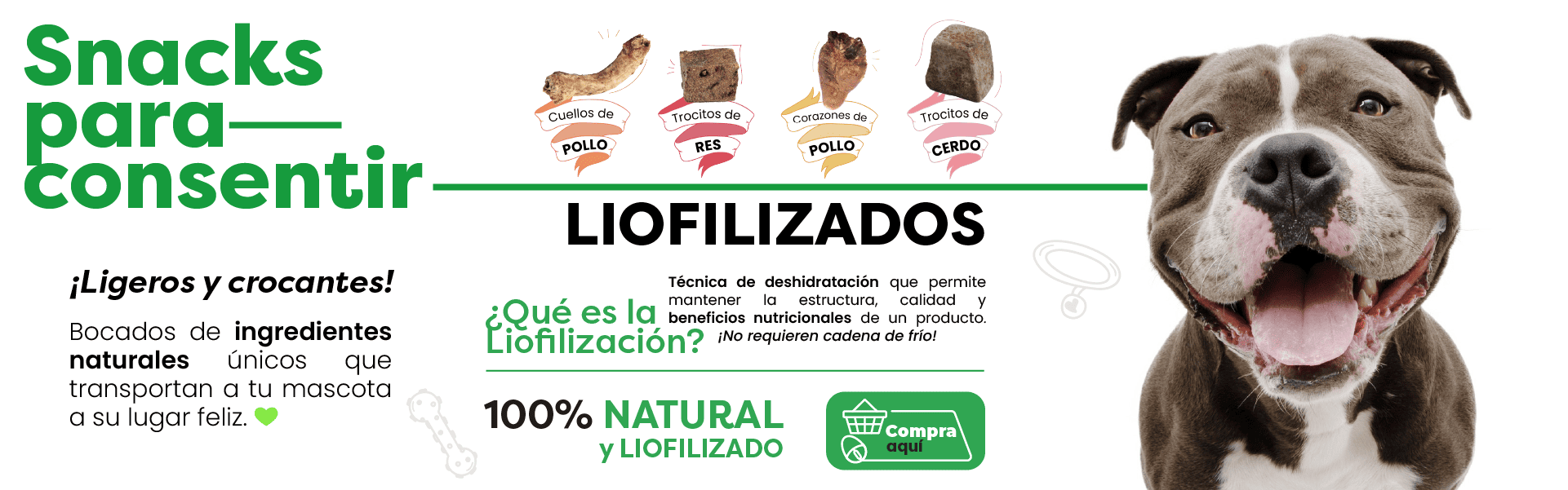 Banner Snacks Liofilizados