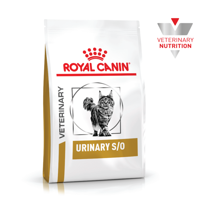 ROYAL VET FELINO URINARY SO