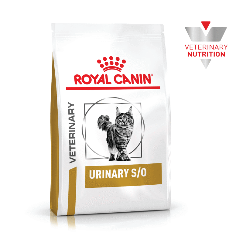 ROYAL VET FELINO URINARY SO