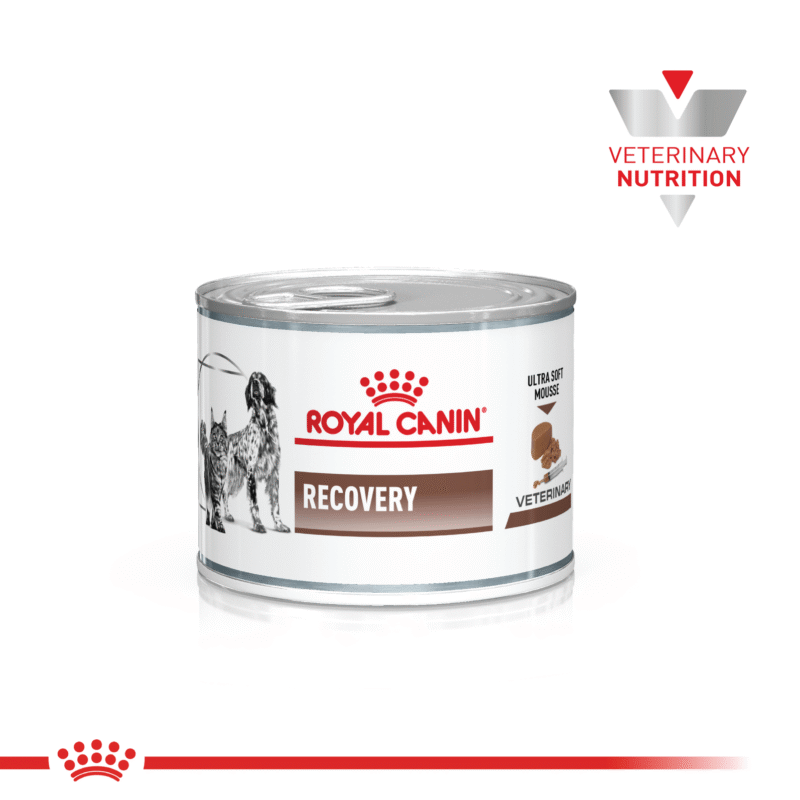 ROYAL CANIN VET LATA RECOVERY 145GR