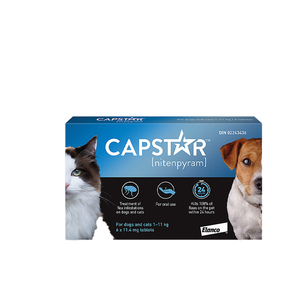 PET-GOLD-CAPSTAR-TABLETA-11.4-MG-1.png CAPSTAR TABLETA 11.4 MG - Imagen 1