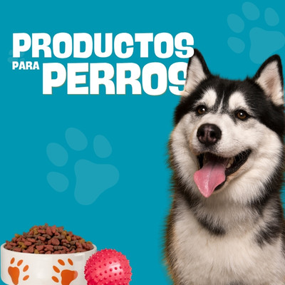 productos para 5
