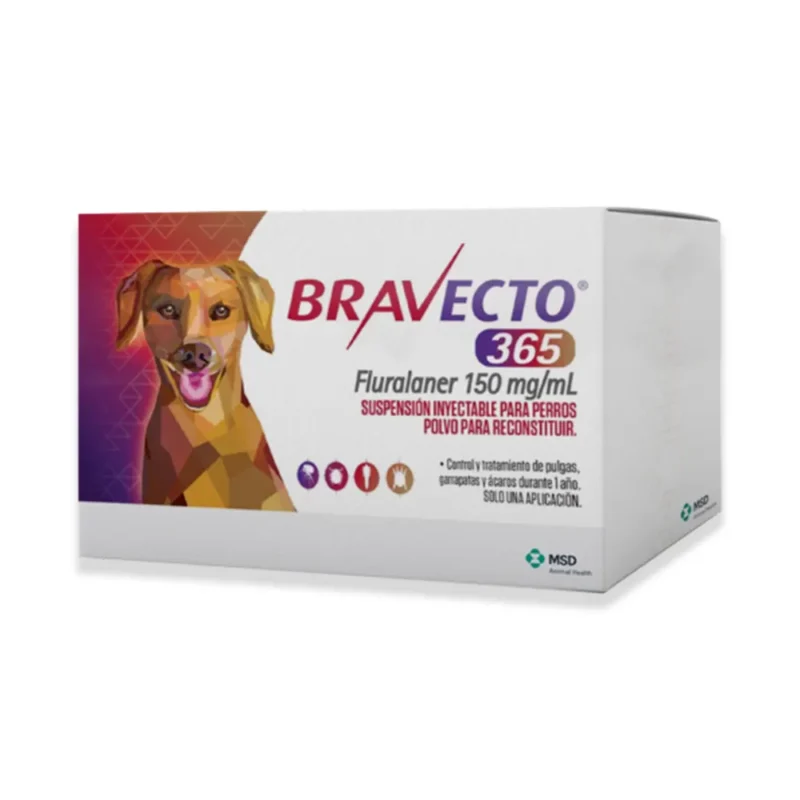Bravecto 365 antipulgas y antigarrapatas