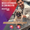 Bravecto 365 antipulgas y antigarrapatas