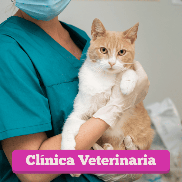 Banner Web Servicios Clinica 600x600 1